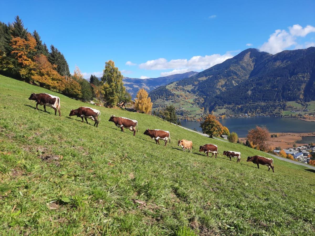 Hubgut Farm stay