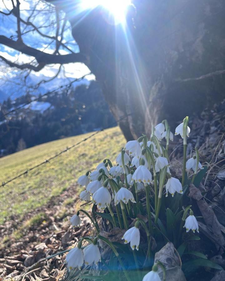 Hubgut * Zell am See