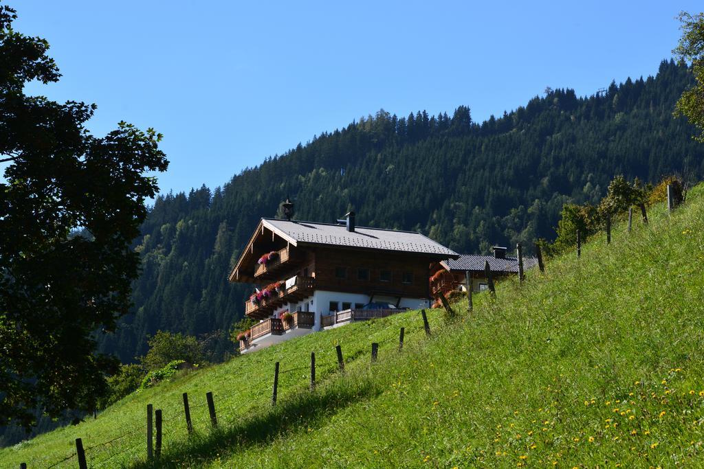 Hubgut Farm stay