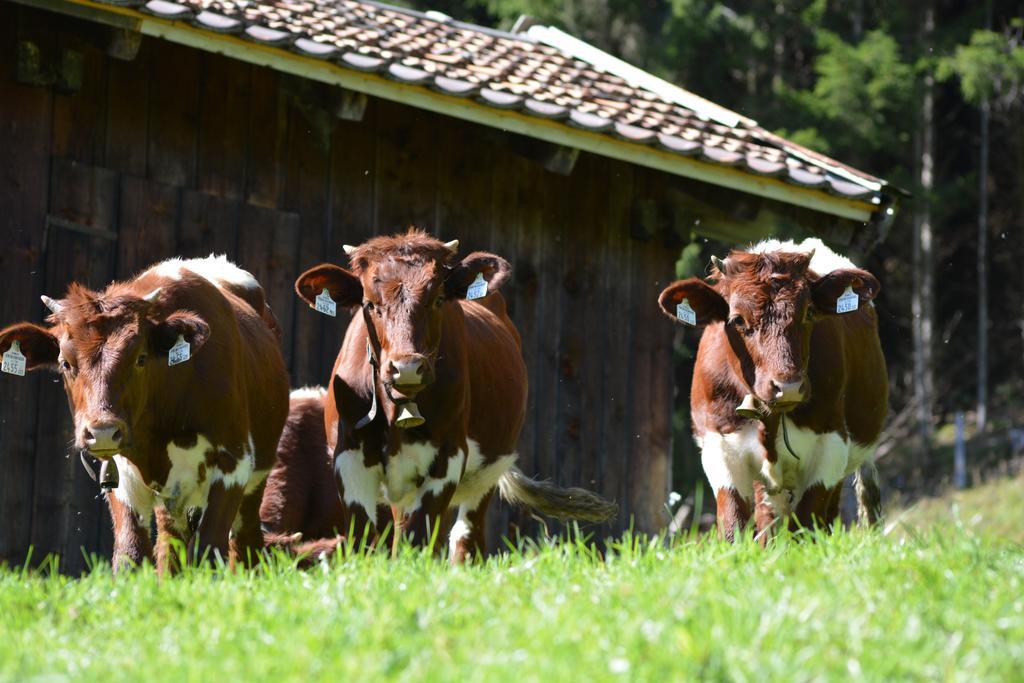 Hubgut Farm stay