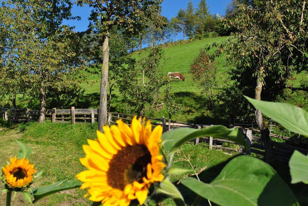 Hubgut Farm stay *