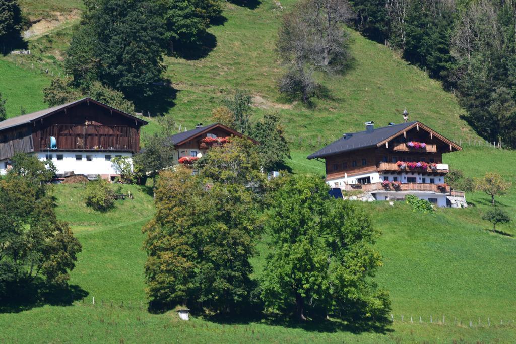Bio-bergbauernhof Hubgut Farma *