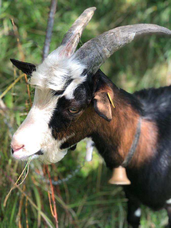 Farm stay Hubgut